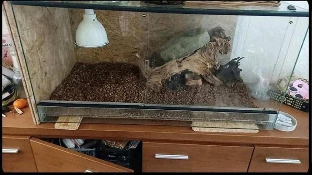 Net terrarium, Dieren en Toebehoren, Ophalen, Zo goed als nieuw, Terrarium of Paludarium