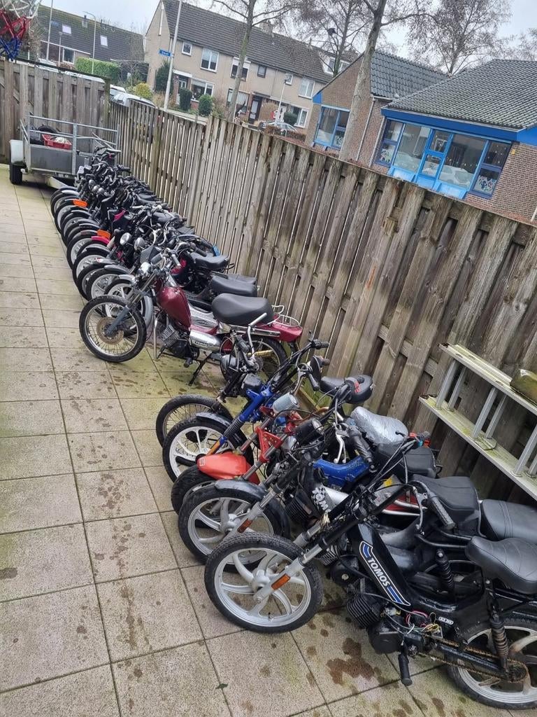 INKOOP VAN TOMOS (alle modellen), Ophalen, Tomos, Gebruikt, Overige modellen