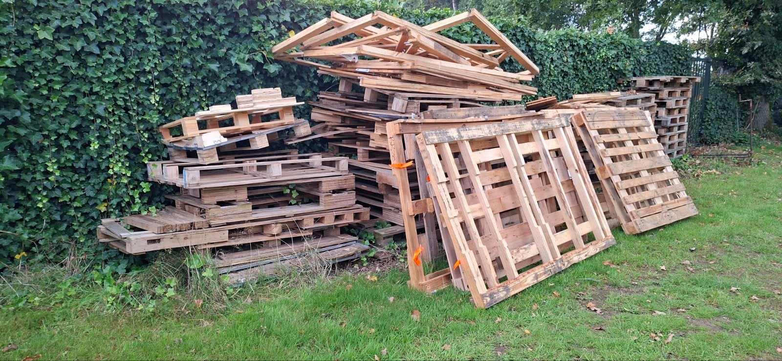 ✅ Gratis openhaardhout: pallets en diverse houtsoorten, 6 m³ of meer, Ophalen of Verzenden, Overige houtsoorten, Blokken