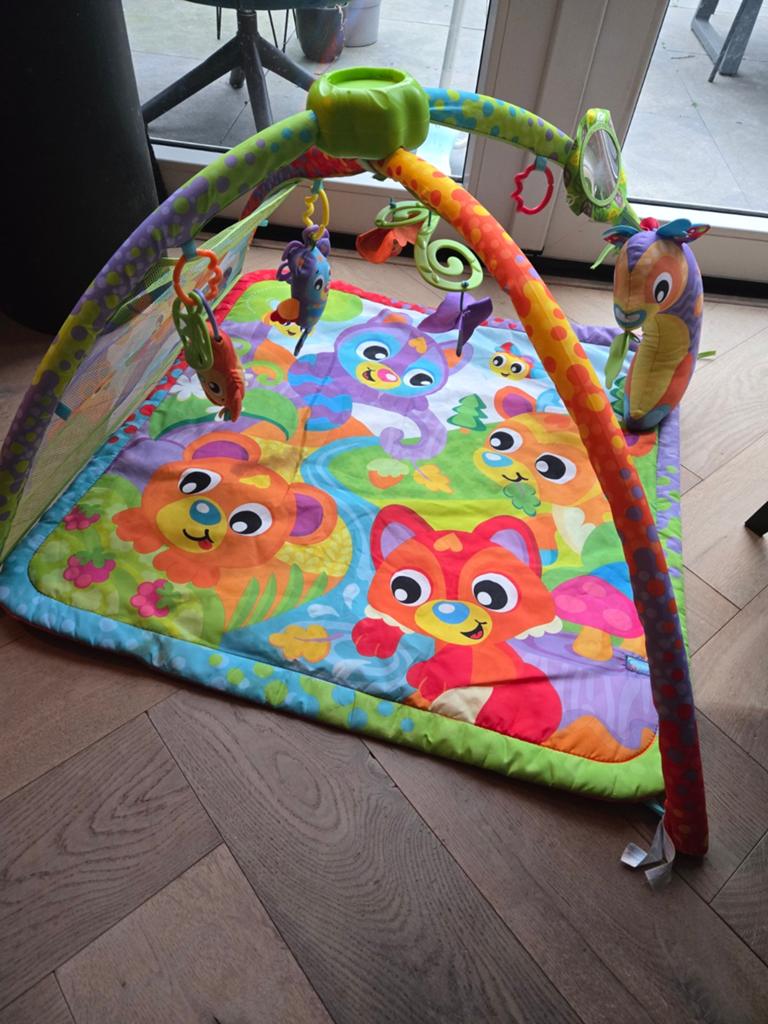 Playgro babygym, Ophalen, Gebruikt