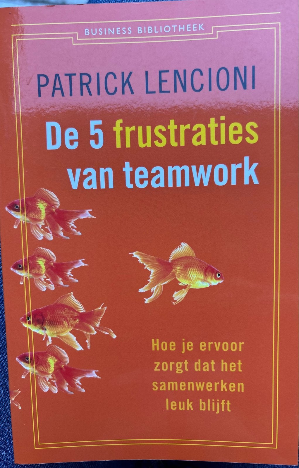 De 5 frustraties van teamwork - Patrick Lencioni, Ophalen of Verzenden, Zo goed als nieuw, Management