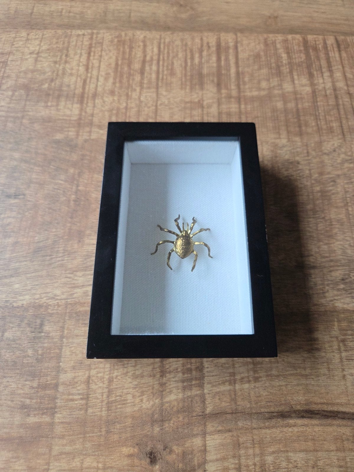 HK Living Gouden Insect in Lijstje - Decoratie, Hout, Zwart, Ophalen of Verzenden, Zo goed als nieuw