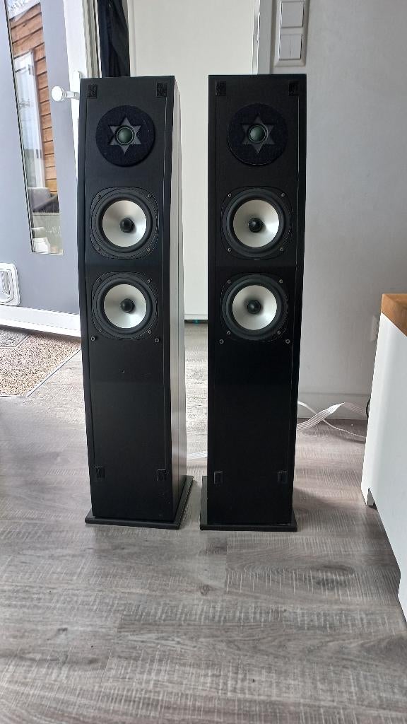 Luidsprekers Floating camelion princes III, Audio, Tv en Foto, Luidsprekers, Gebruikt, 120 watt of meer, Front, Rear of Stereo speakers