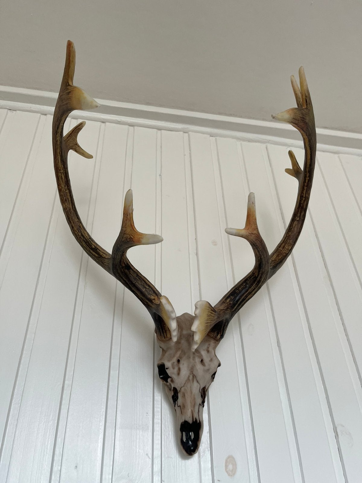 Decoratie schedels, Ophalen, Zo goed als nieuw, Schedel