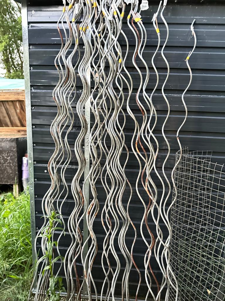 30 tomatenspiralen voor moestuin of kas - Ophalen Wijchen, Ophalen, Fruitplanten