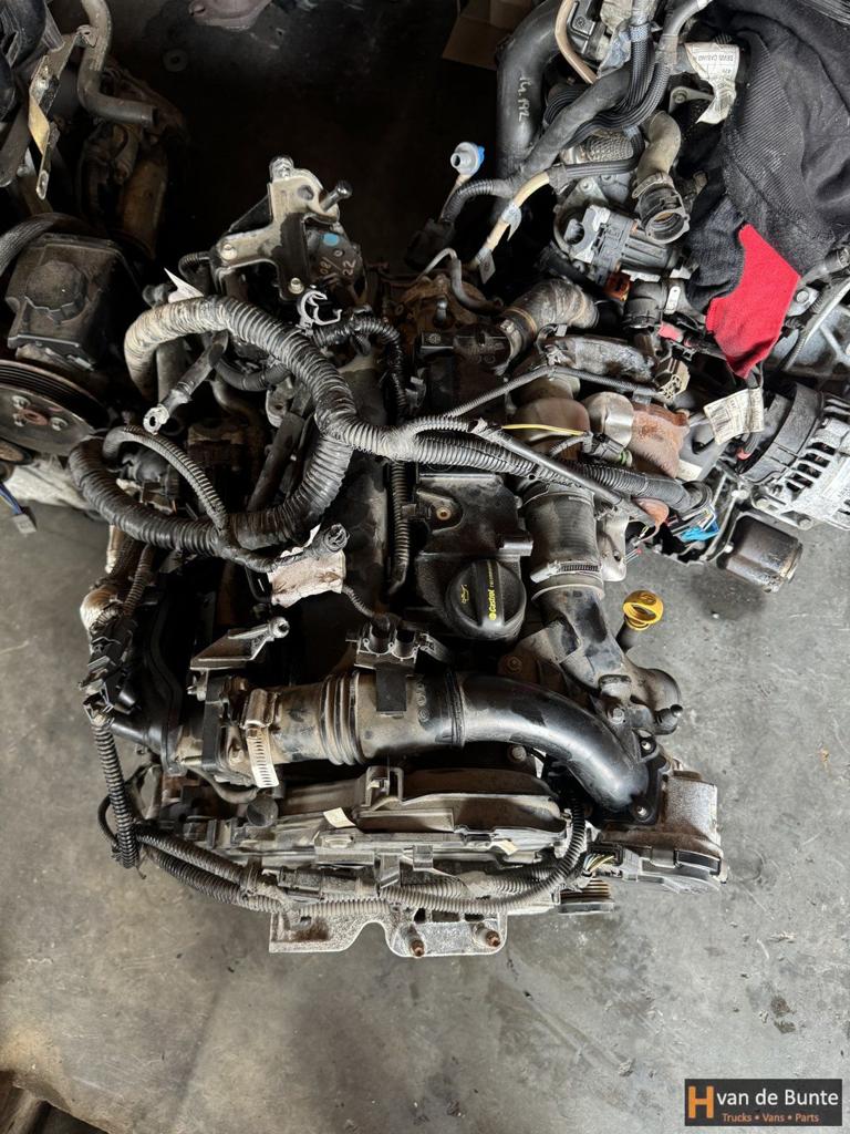 Motor Ford Tourneo connect code: T1GA, Ophalen, Gebruikt, -, -