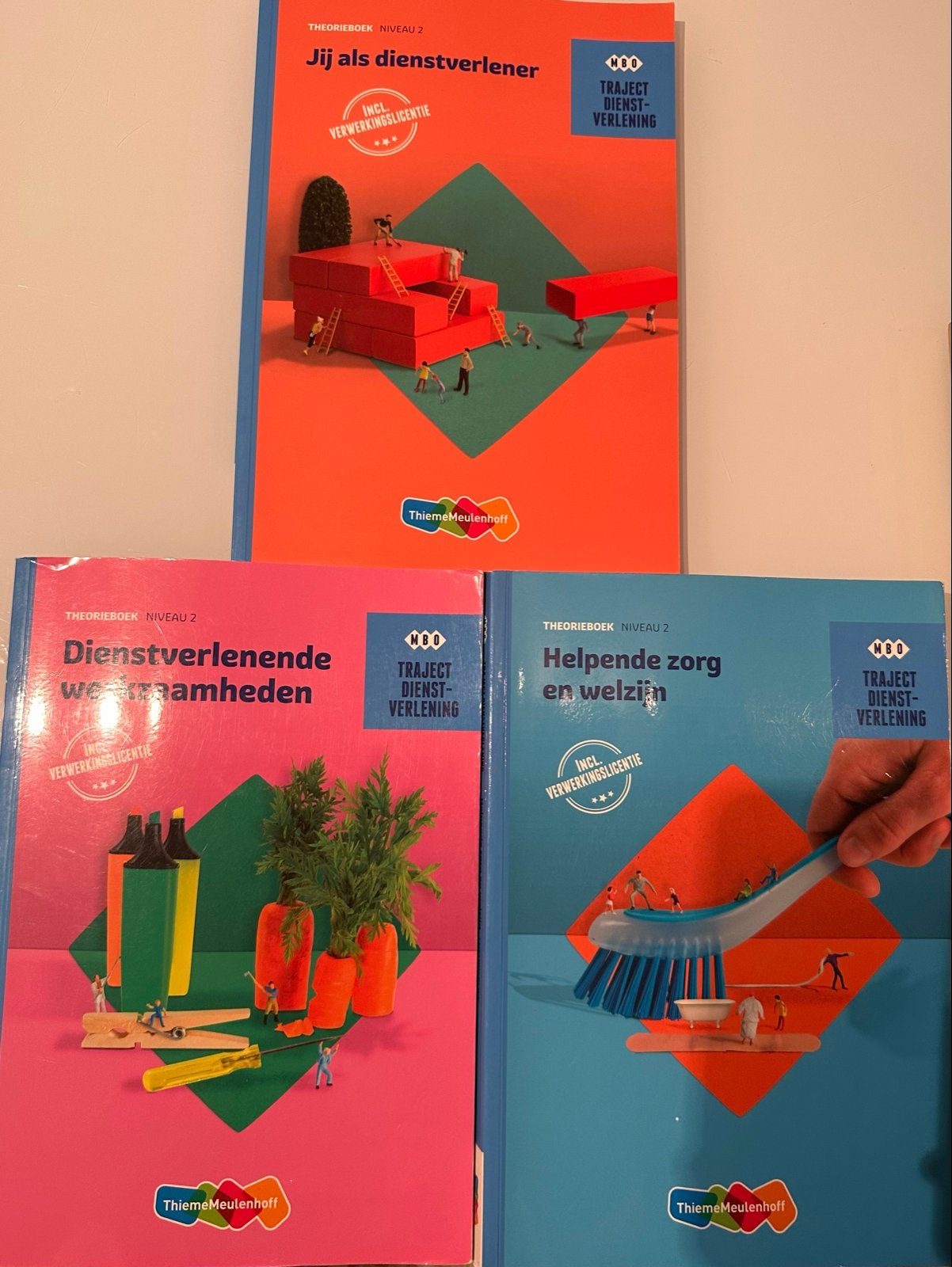 Helpende zorg en welzijn boeken - Theorieboek Niveau 2, Boeken, Ophalen of Verzenden, Gamma, Gelezen, MBO