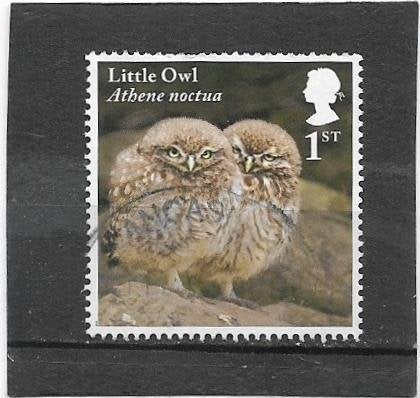 Engeland 2018 Owls - Little Owl, Verzenden, Gestempeld