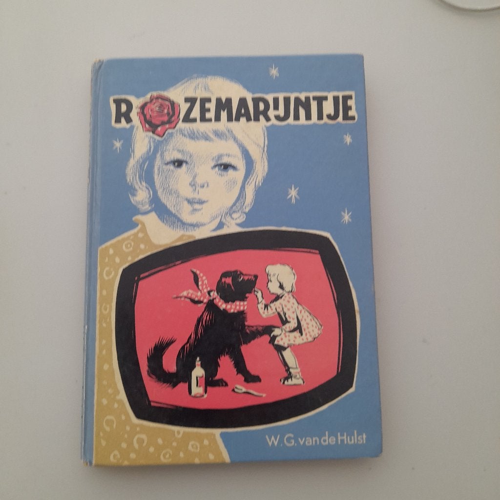 W.G. van de Hulst Serie Rozemarijntje; 4 delen, Ophalen of Verzenden, Gelezen, Fictie algemeen