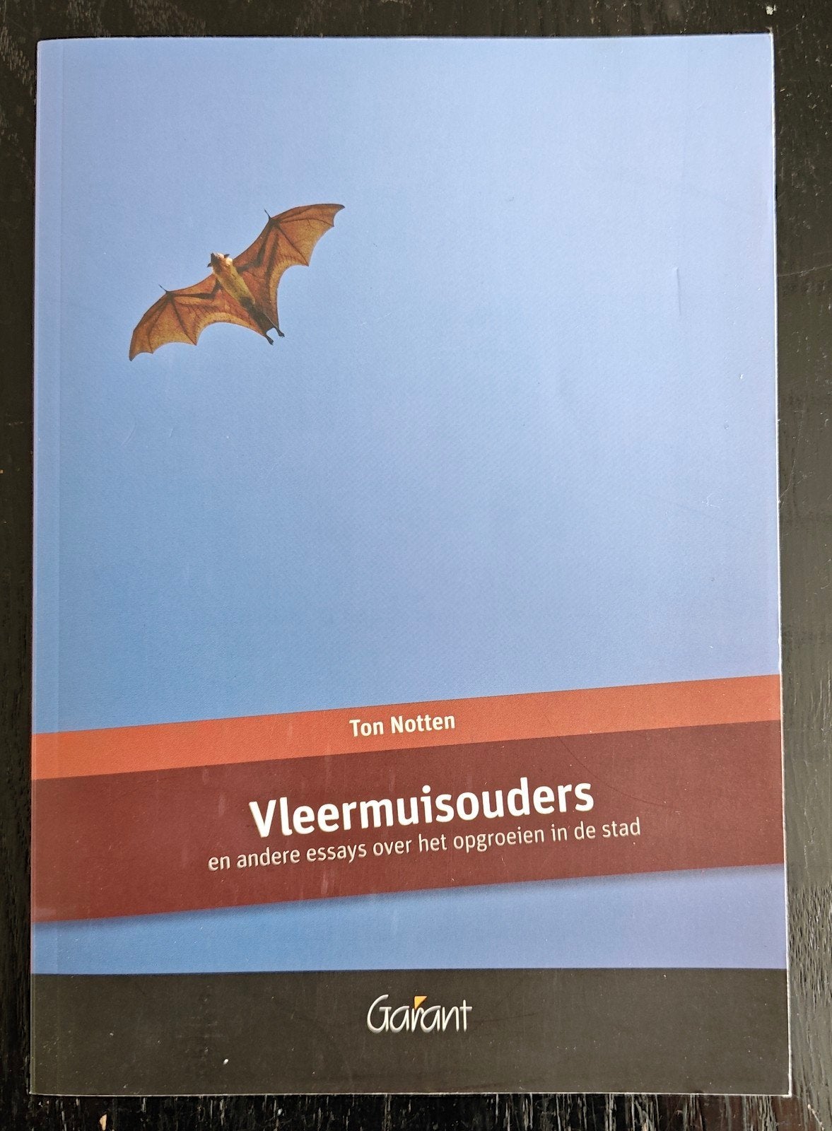 Ton Notten - Vleermuisouders, Ophalen of Verzenden, Zo goed als nieuw, Nederland, Ton Notten