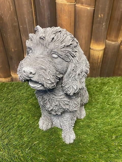 Labradoodle, Ophalen, Nieuw, Beton, Dierenbeeld