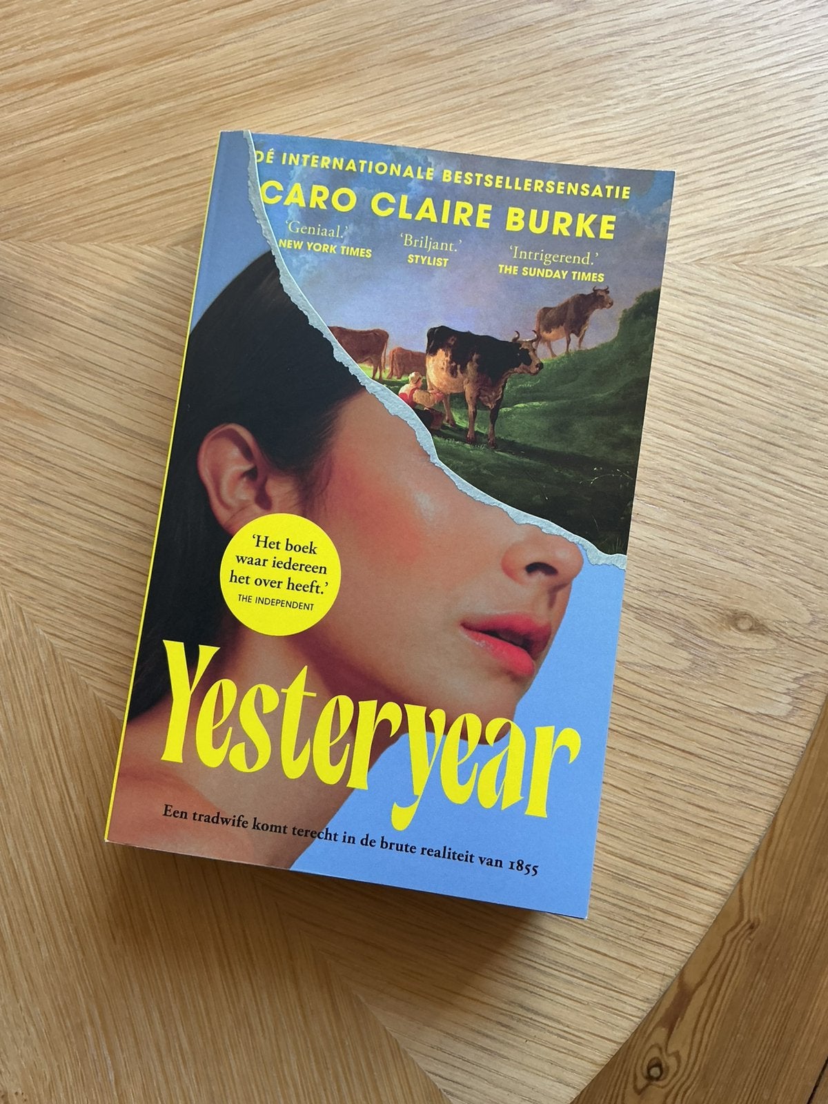 Yesteryear - Caro Claire Burke, Ophalen, Zo goed als nieuw