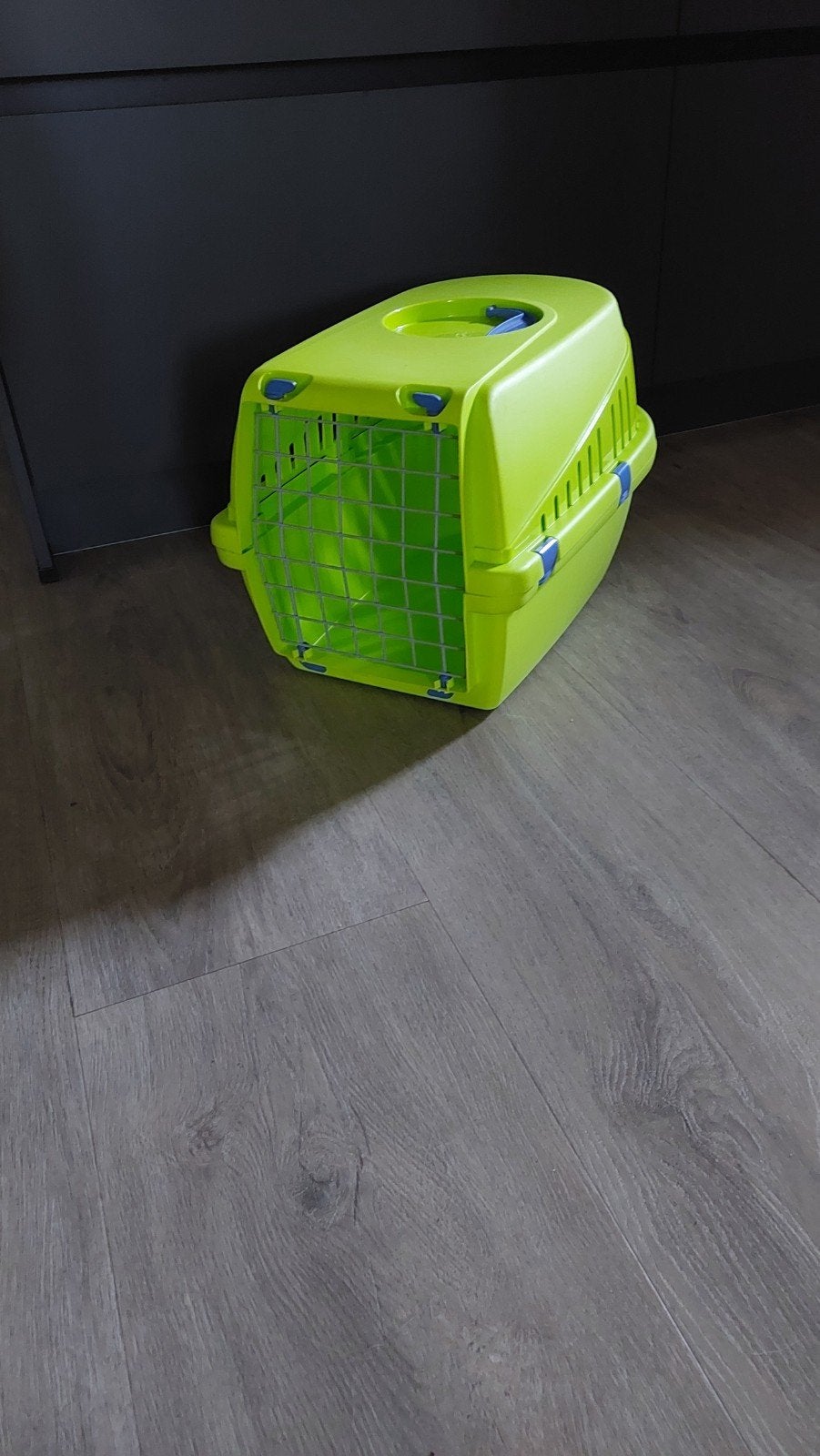 Mooie grote kattenreismand, Dieren en Toebehoren, Ophalen