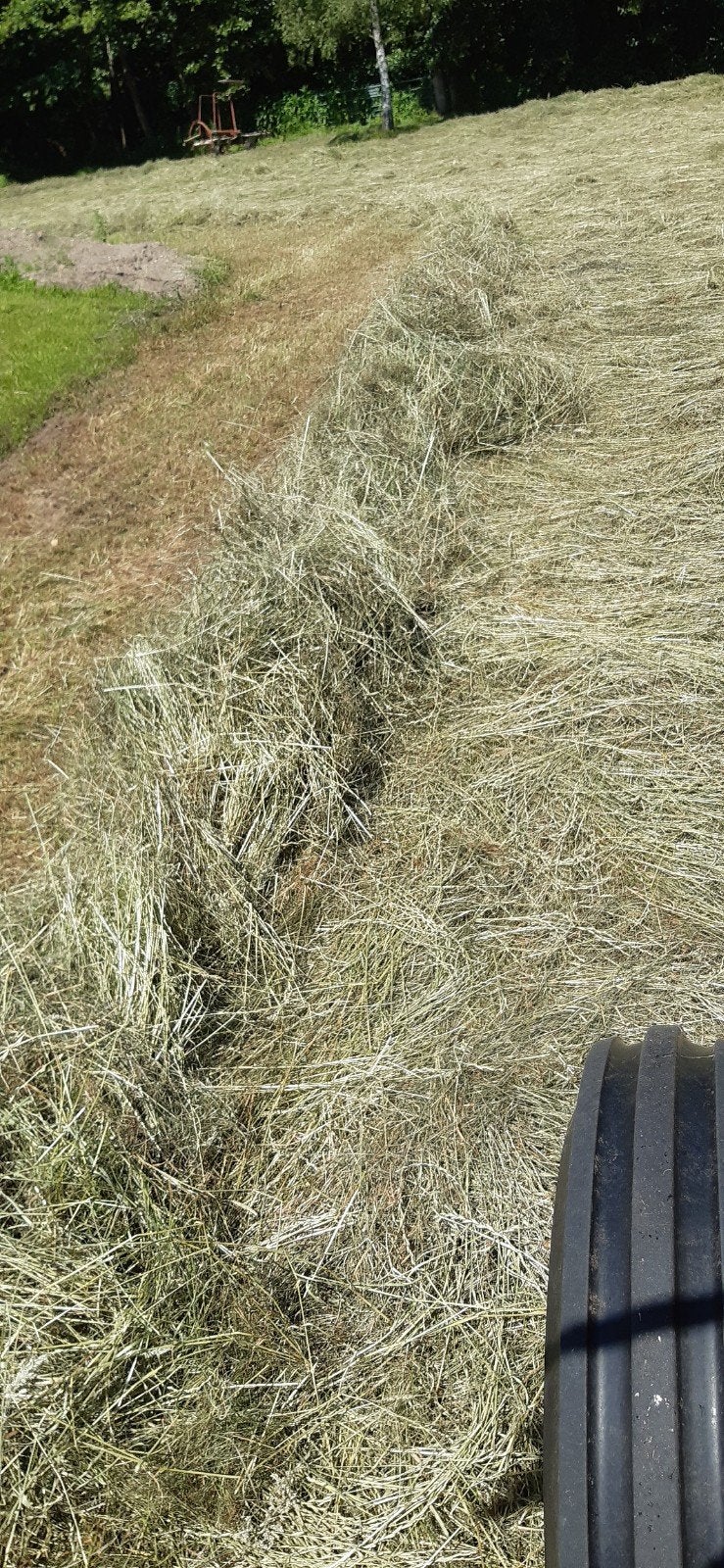 50 kleine hooibaaltjes, 2e snee, vers van het land, Ophalen of Verzenden