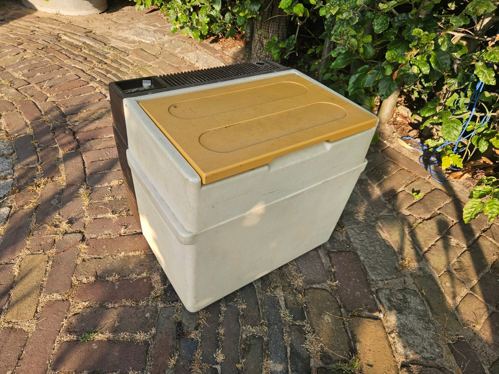 Electrolux Koelbox - Draagbare Koelkast, Ophalen, Minder dan 85 cm, Minder dan 75 liter, 45 tot 60 cm