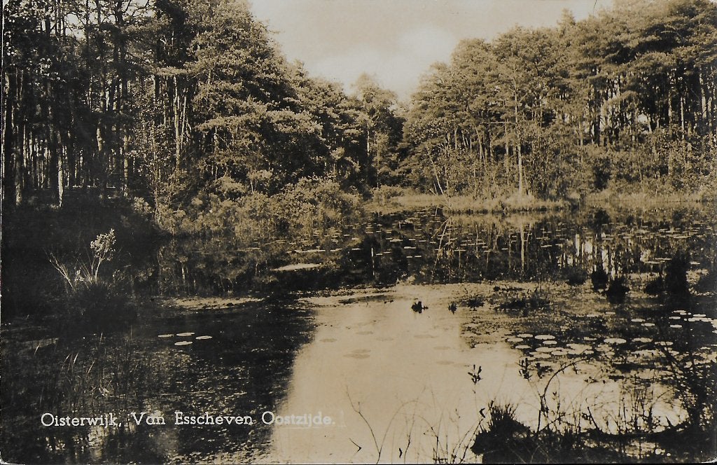 Pa10 Ansichtkaart oisterwijk van esscheven uit 1945, Verzamelen, Ophalen of Verzenden, 1940 tot 1960, Gelopen