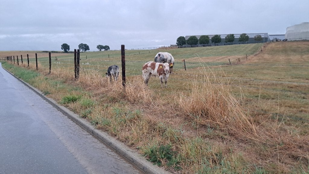 Telefoon verloren in schinveld,deuts tractor gezocht, Contacten en Berichten, Gevonden voorwerpen