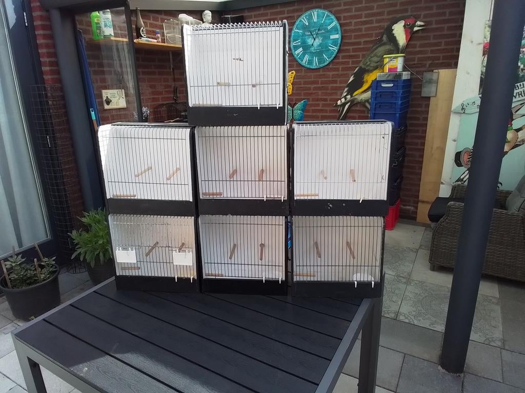 Vogeltentoonstellingskooi (7 + 8 ), Ophalen, Gebruikt, Hout, Vogelkooi