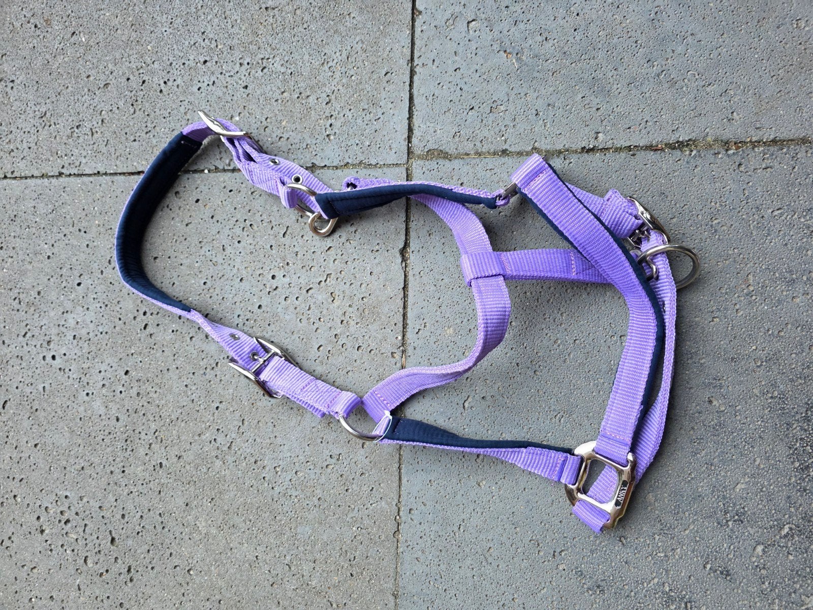 Anky halster paisley purple, Dieren en Toebehoren, Nieuw, Ophalen of Verzenden, Halster, Anky