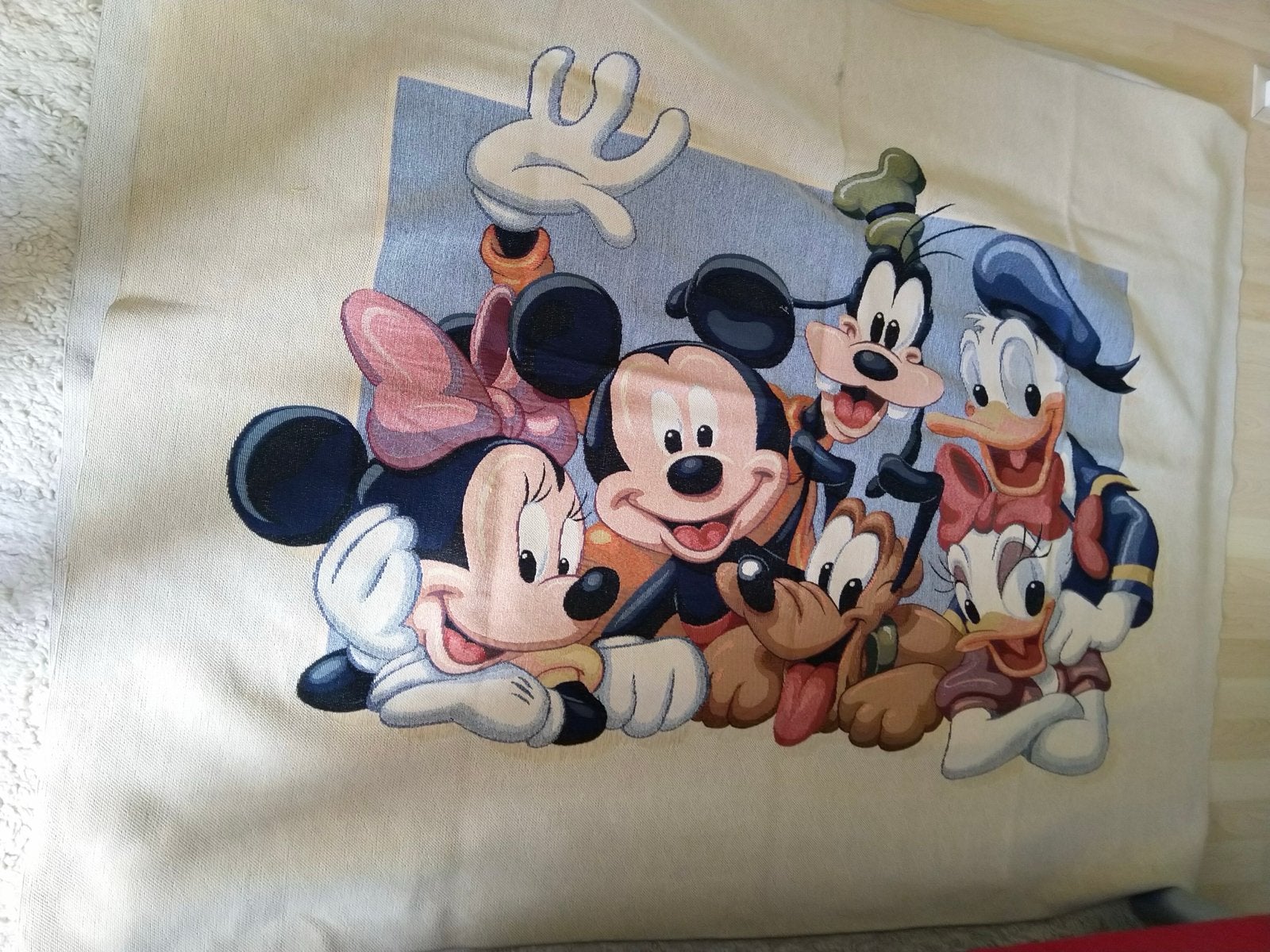 Speelkleed Disney met Mickey Mouse en vrienden 155/125, Ophalen, Zo goed als nieuw
