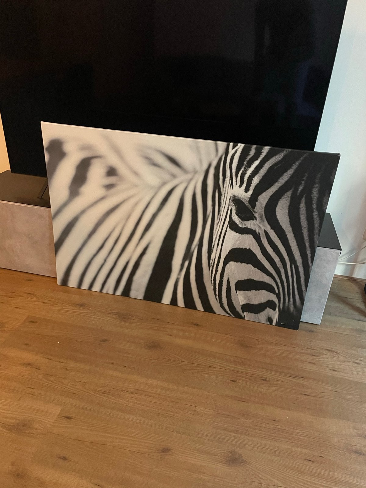 IKEA PJÄTTERYD Zebra Canvas, Huis en Inrichting, Gebruikt, Ophalen of Verzenden, Print, 100 tot 125 cm