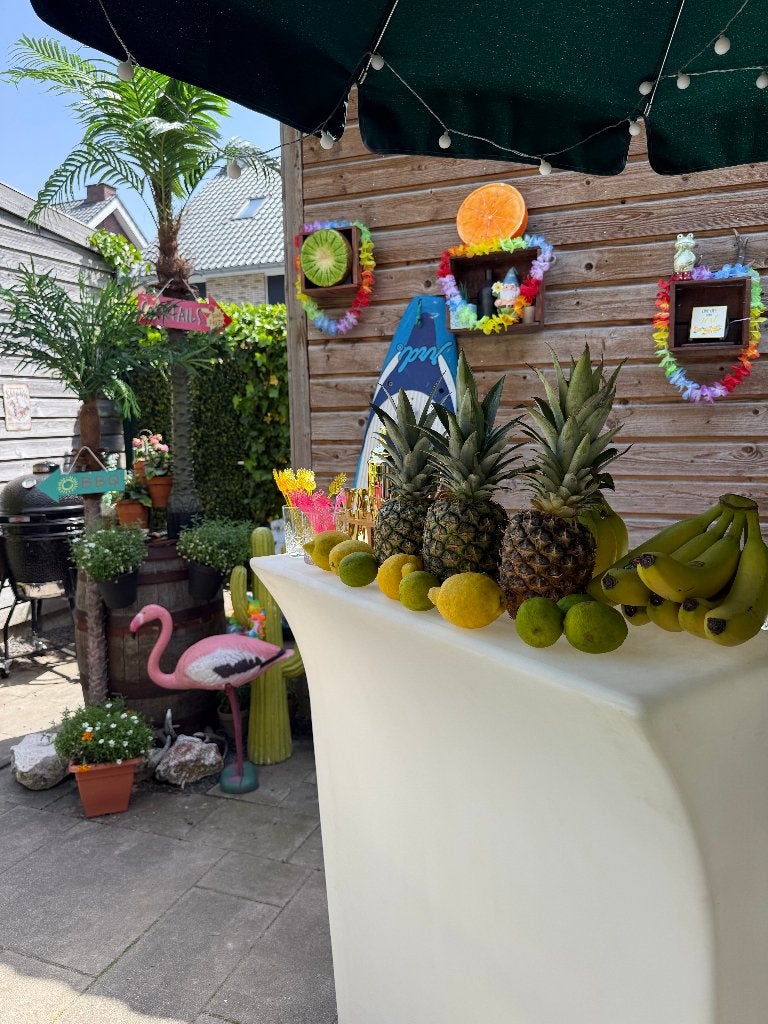 ledbar dj booth te huur bij Fresh! Gratis bezorging, Ophalen, Overige merken