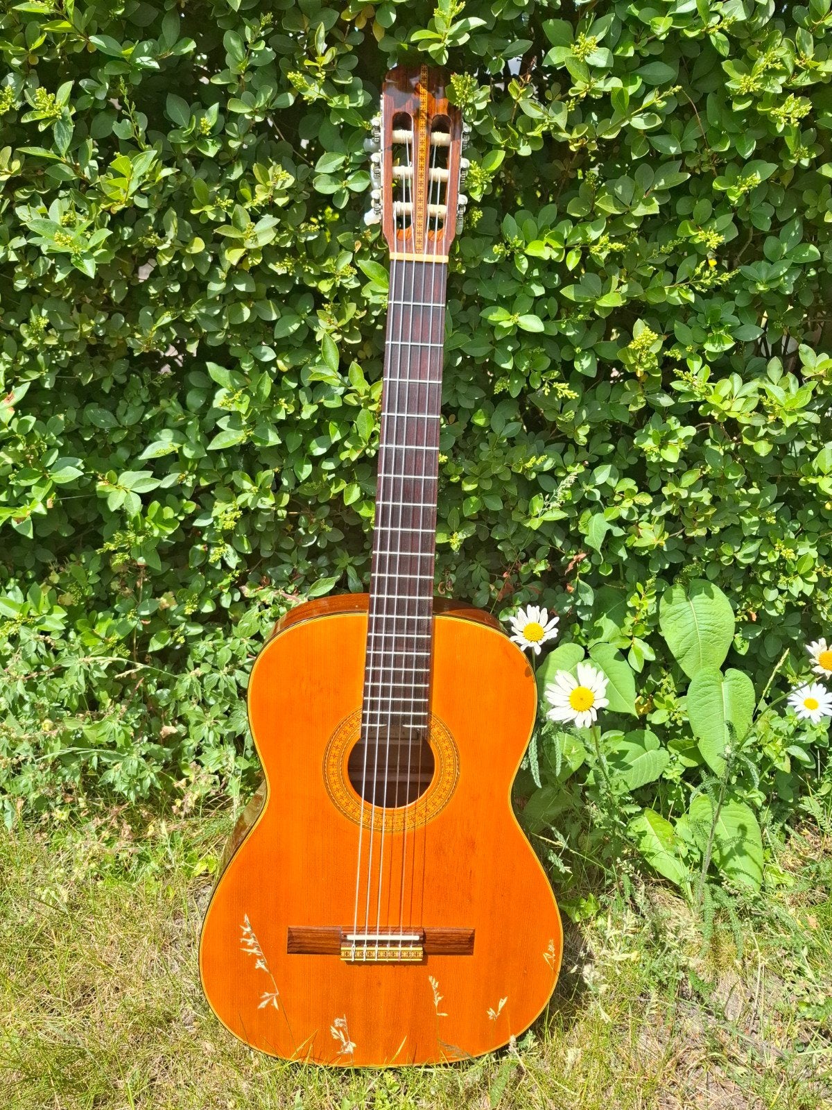 Cimar klassieke gitaar 1977, Ophalen, Gebruikt, Klassieke of Spaanse gitaar