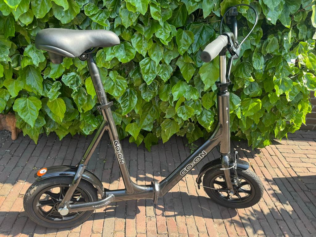 Go-On Loopfiets - Slechts 2x gebruikt, zo goed als nieuw!, Fietsen en Brommers, Fietsen | Vouwfietsen, Ophalen, Zo goed als nieuw