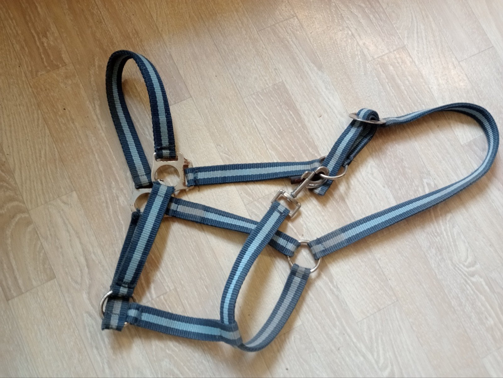 Fijn halster mt full, Ophalen of Verzenden, Halster, Full
