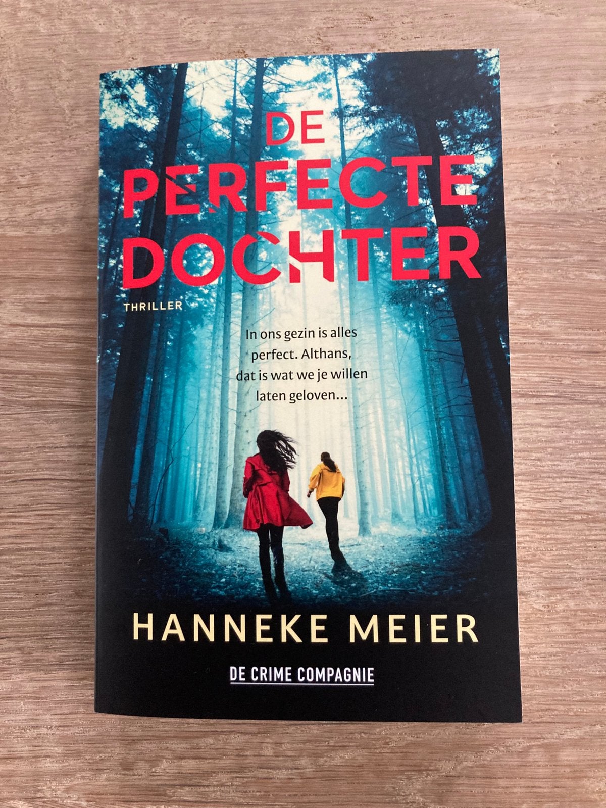 De perfecte dochter - Hanneke Meier, Nieuw, Ophalen of Verzenden, Nederland, Hanneke Meier