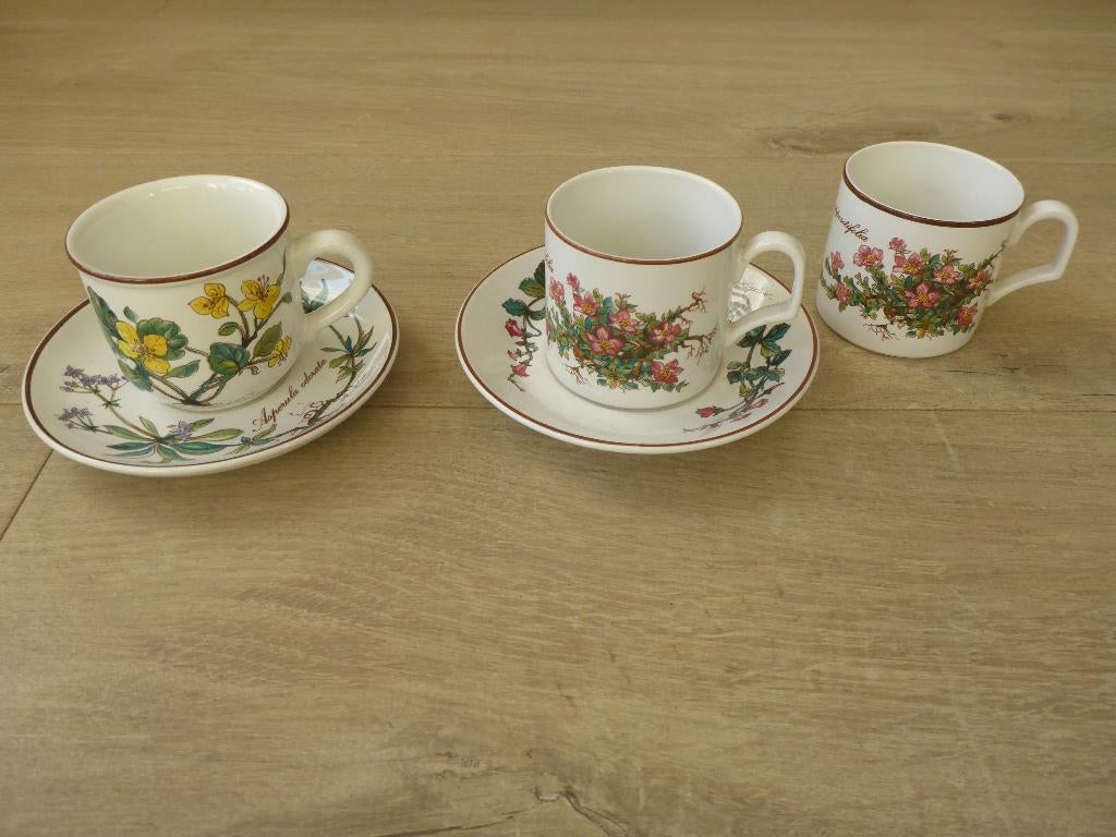 Kopjes en schotel, villeroy & boch botanica, douwe egberts., Huis en Inrichting, Keuken | Servies, Ophalen of Verzenden, Zo goed als nieuw