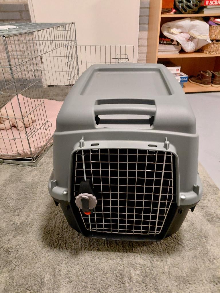 reisbenche hond, Dieren en Toebehoren, Ophalen, Nieuw
