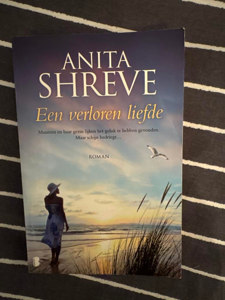 Een verloren liefde - Anita Shreve, Ophalen of Verzenden, Zo goed als nieuw, Nederland
