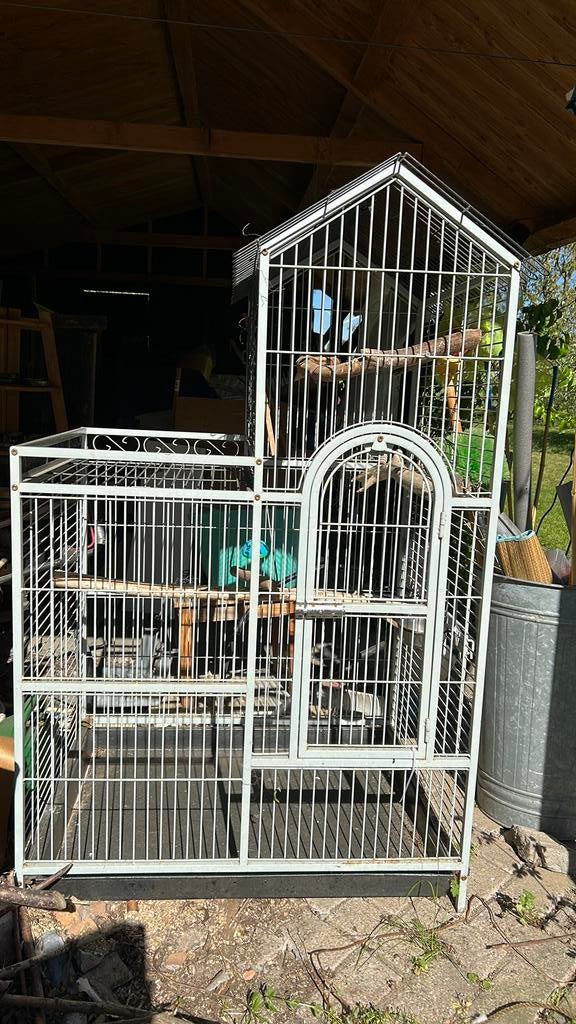 Vogelkooi - parkietenkooi - afhalen, Dieren en Toebehoren, Ophalen, Gebruikt, Metaal, Vogelkooi