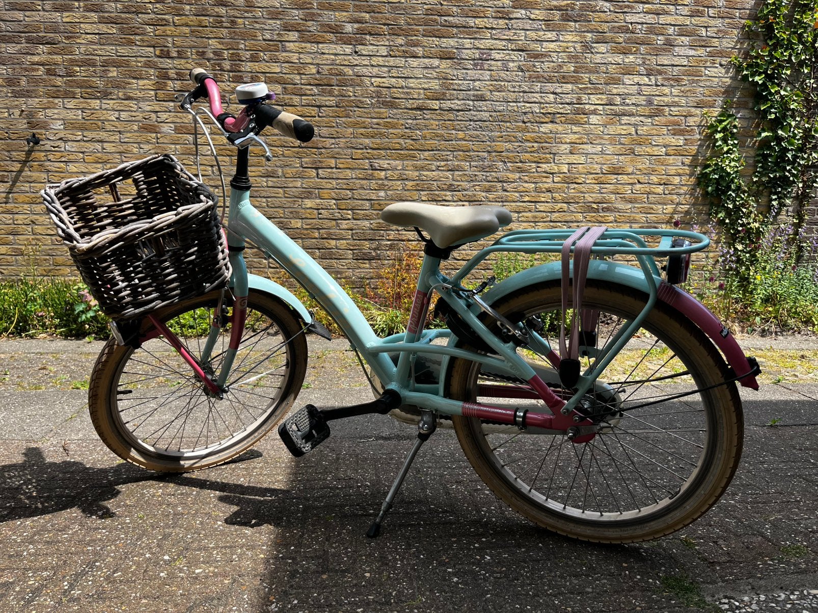 Loekie prinses meisjesfiets 20 inch mint roze, Fietsen en Brommers, Fietsen | Meisjes, Ophalen, Velgrem, 20 inch, Handrem