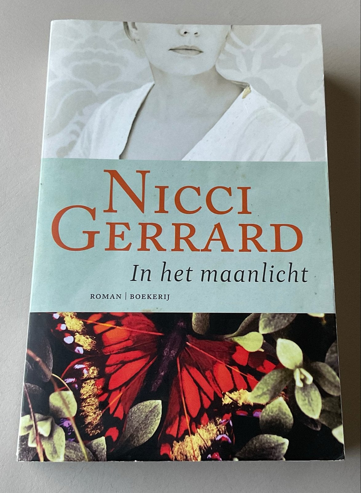 Nicci Gerrard - In het maanlicht (Roman), Ophalen of Verzenden, Zo goed als nieuw