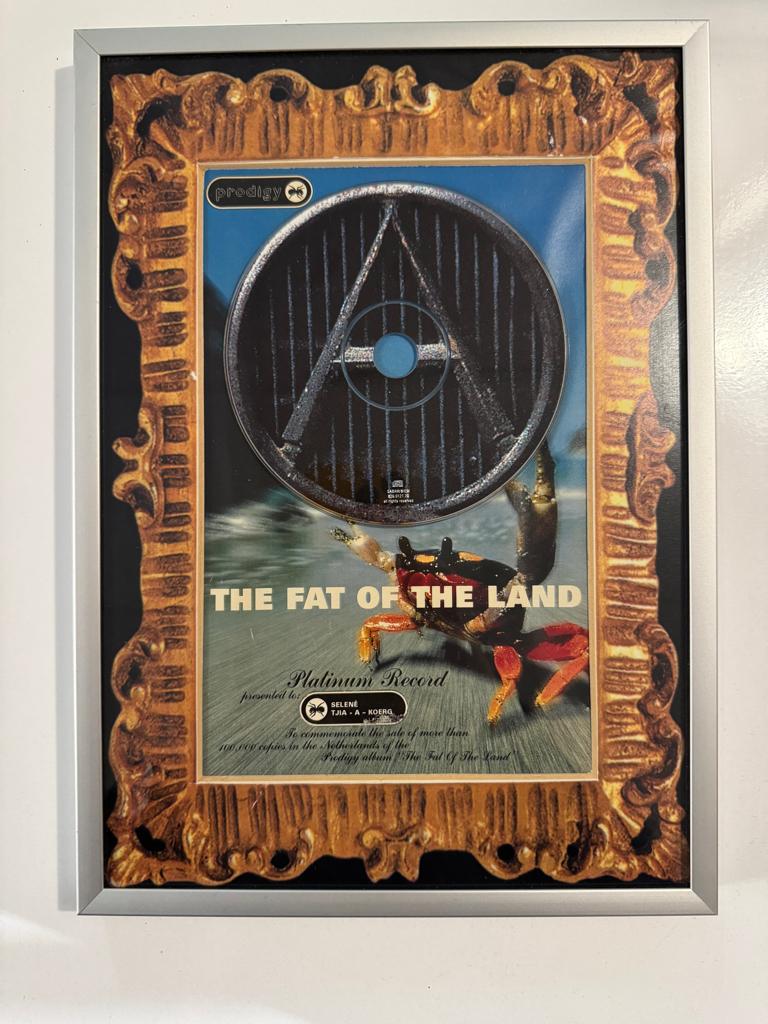 Prodigy " Fat of the land" Award, Ophalen of Verzenden, Zo goed als nieuw