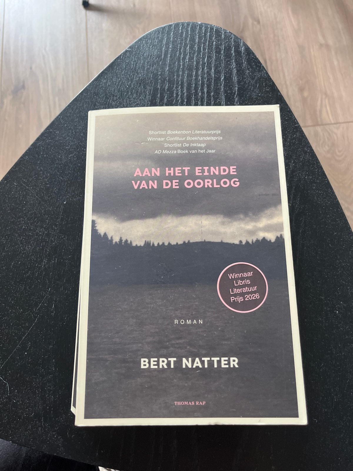 Aan het einde van de oorlog - Bert Natter (Roman), Boeken, Romans, Ophalen of Verzenden, Zo goed als nieuw