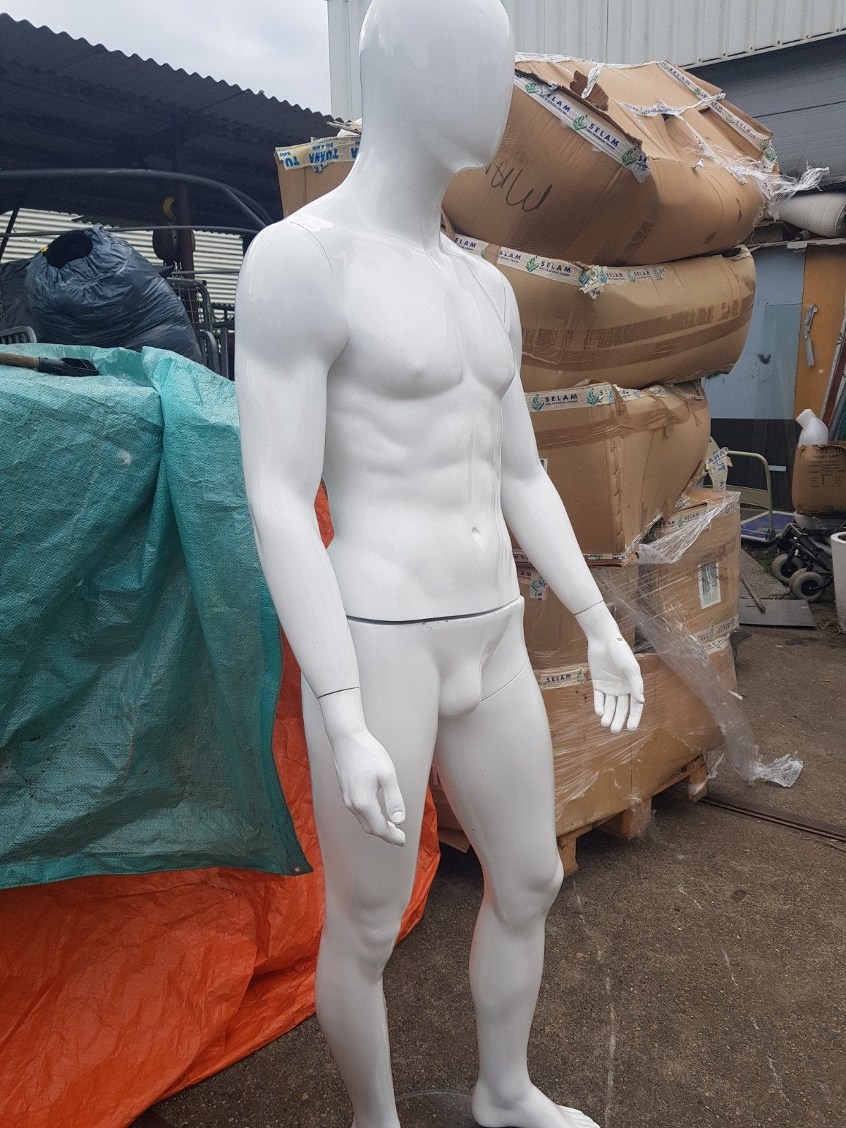 Bovenlichaam paspop - Mannequin torso, Ophalen, Onbekend, Onbekend, Onbekend