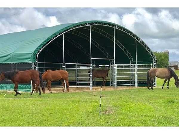 2026 - Easy-Going - (12x12x5 meter) - Dierenverblijf / shelt