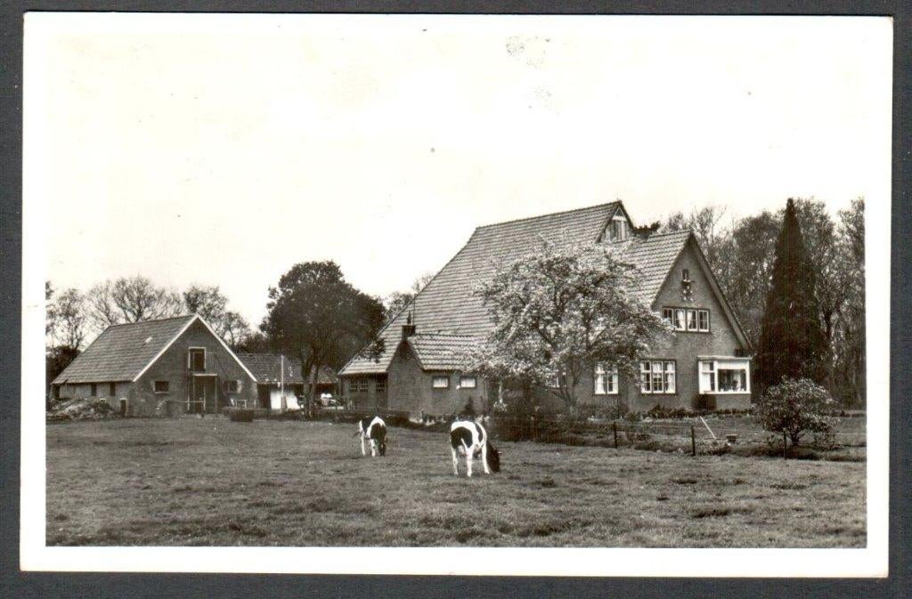 Oude Ansicht Appelscha Kampeerboerderij F. Zeilstra 1963 Frl, Ophalen of Verzenden, 1960 tot 1980, Gelopen, Friesland
