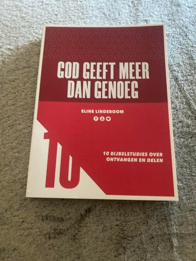 God Geeft Meer Dan Genoeg - Eline Lindeboom, Boeken, Ophalen of Verzenden, Zo goed als nieuw, Christendom | Protestants