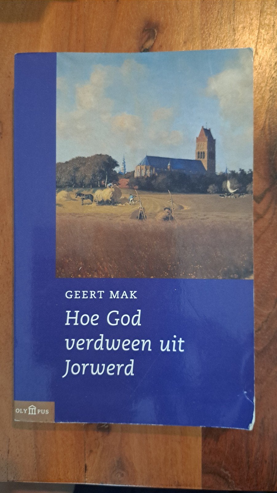 Hoe God verdween uit Jorwerd - Geert Mak (Olympus), Ophalen of Verzenden, Gelezen, Geert Mak, Christendom | Protestants