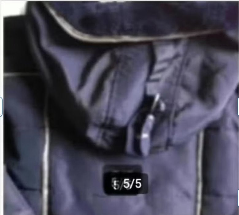 Dames ski jack bruin mt L merk LIV., Kleding | Dames, Maat 38/40 (M), Ophalen of Verzenden, Zo goed als nieuw, Jack