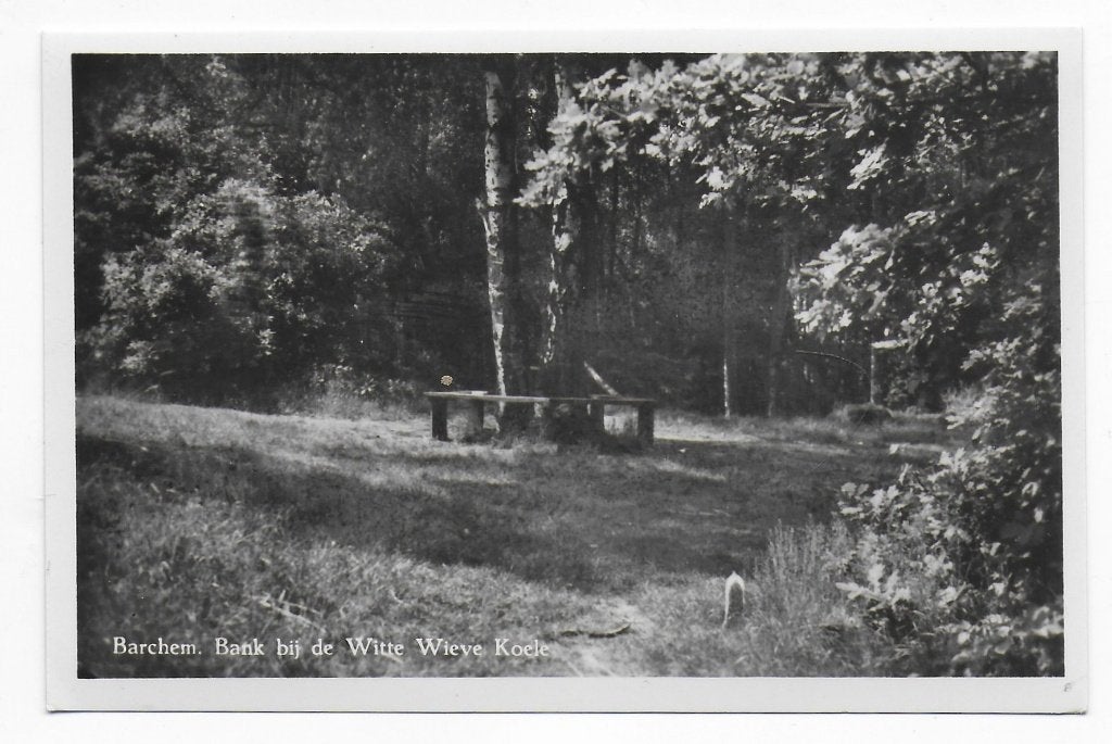 Barchem Witte Wiewe Koele Ongelopen ansichtkaart ( B7659), Ophalen of Verzenden, 1980 tot heden, Gelopen