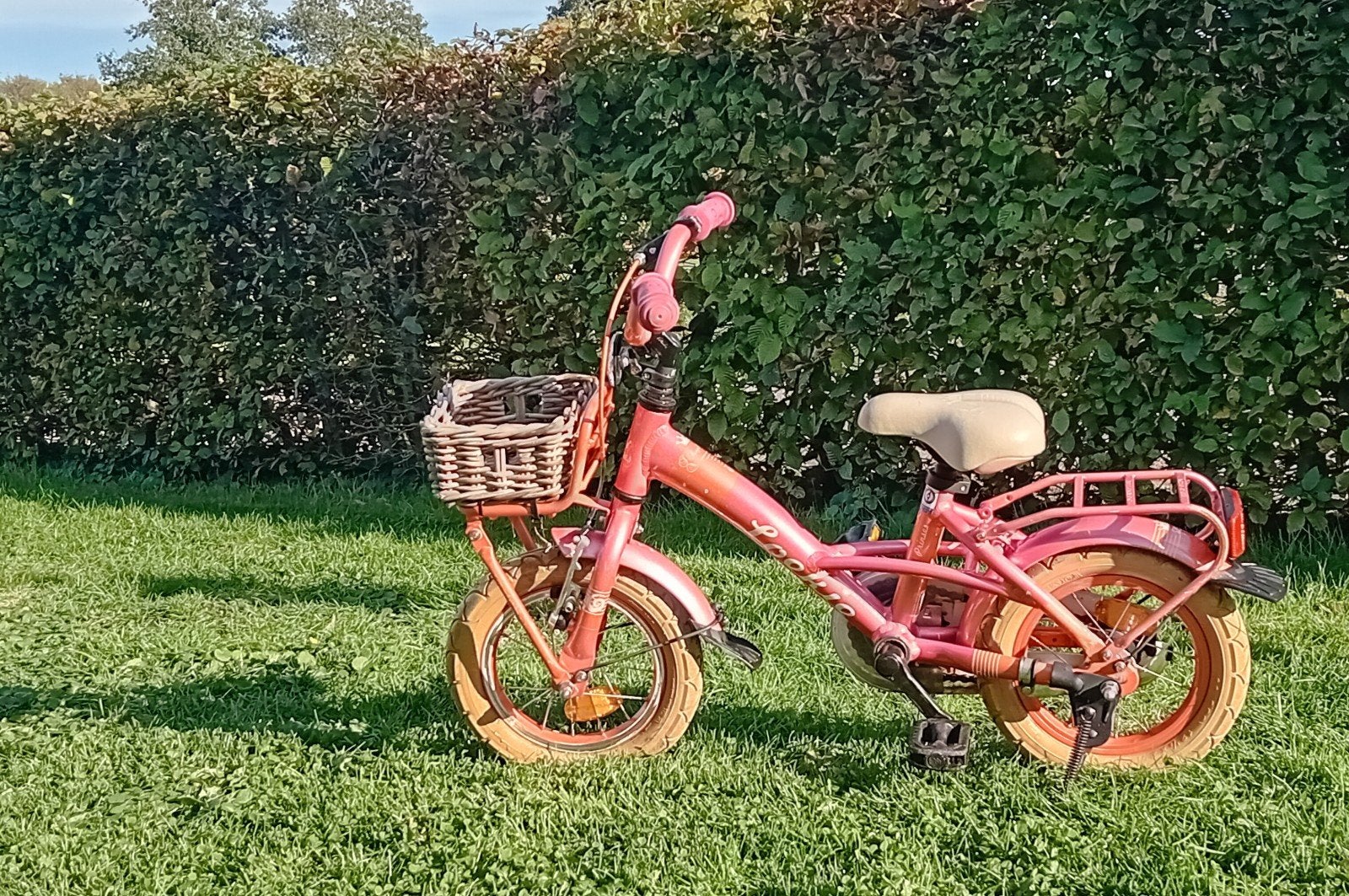 Loekie 12 inch meisjesfiets met mandje, Fietsen en Brommers, Ophalen, Terugtraprem, Gebruikt, Loekie