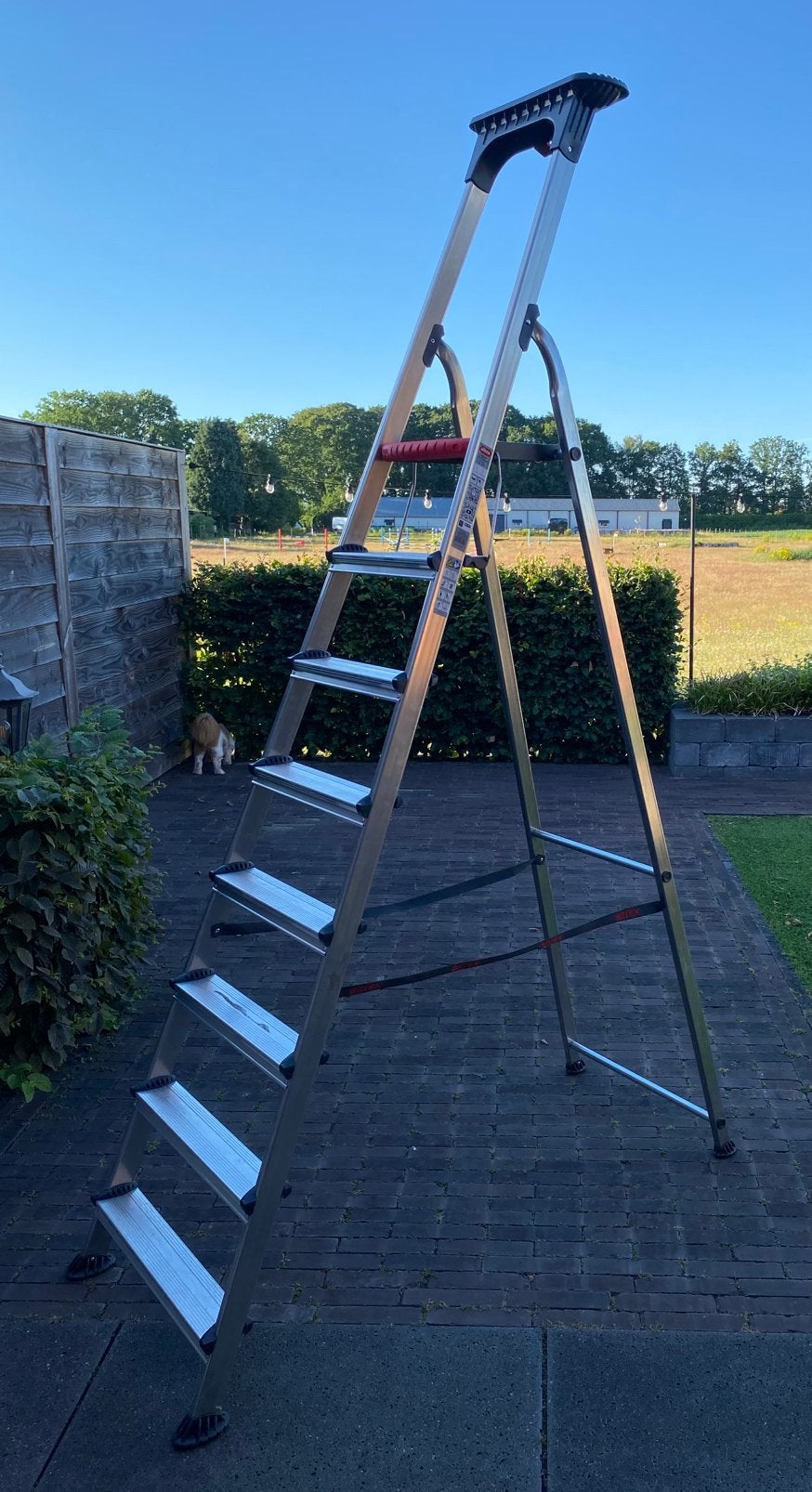 Altrex 1x8 Double Decker, Doe-het-zelf en Verbouw, Ladders en Trappen, Ophalen, Zo goed als nieuw, 2 tot 4 meter