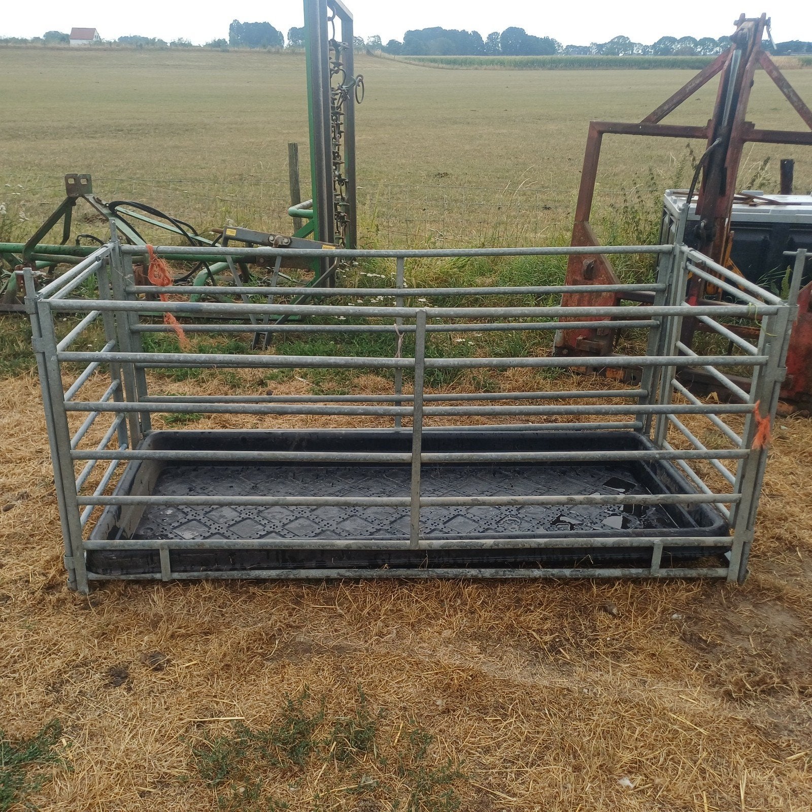doorloop voetbak met hekwerk als nieuw, Dieren en Toebehoren, Schapen, Geiten en Varkens, Vrouwelijk, Geit