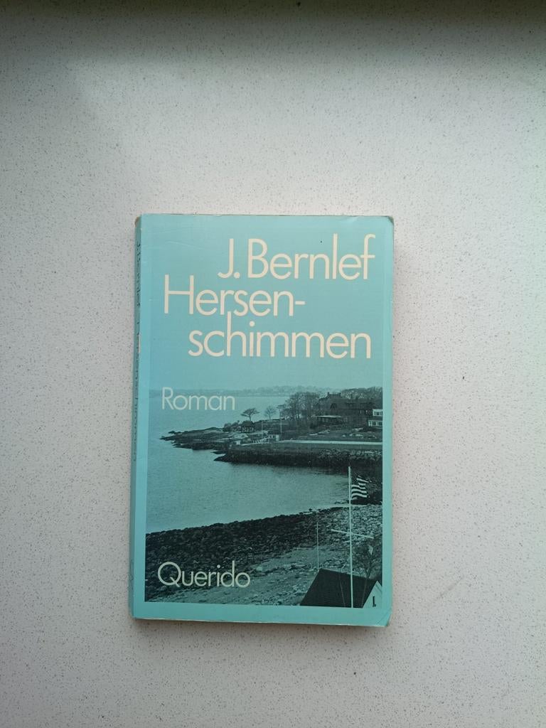 Hersenschimmen - J. Bernlef, Boeken, Ophalen of Verzenden, Gelezen