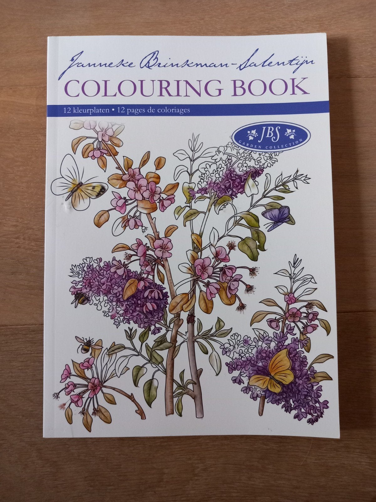 Kleurboek Janneke Brinkman, NIEUW, Boeken, Ophalen of Verzenden, Nieuw, Tekenen en Schilderen, Janneke Brinkman